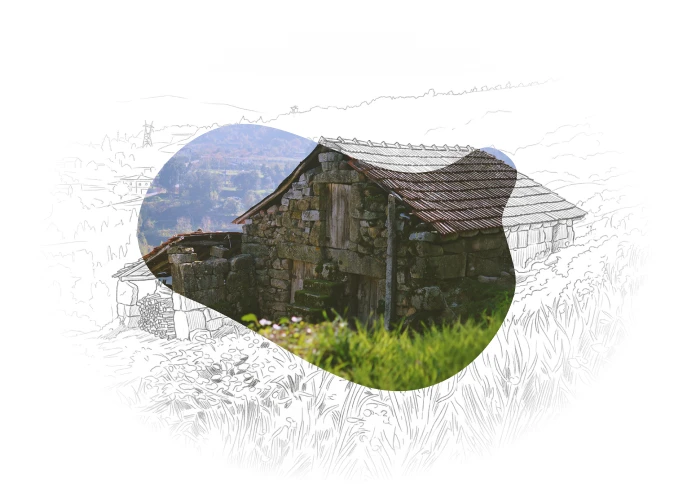Casa tradicional de pedra na quinta Biogoods