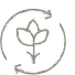 Biodiversidade e Circularidade