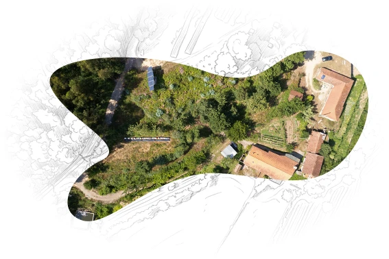 Vista aérea da quinta Biogoods no Douro